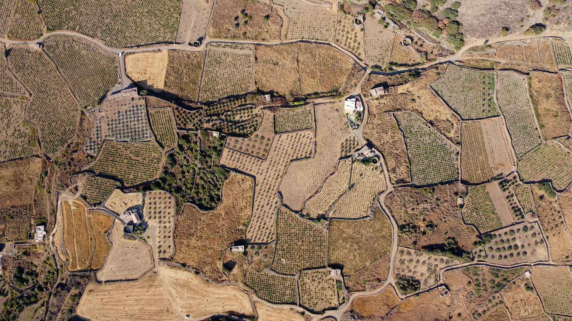 DJI_0311.MP4.00_02_04_01